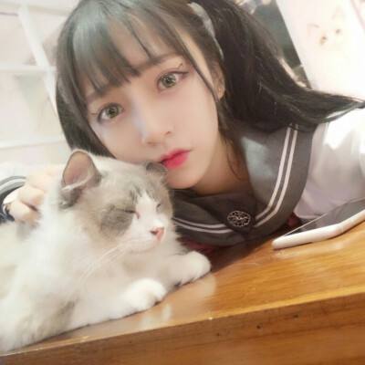 少年封神榜无限版下载